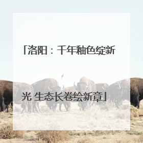 洛阳：千年釉色绽新光 生态长卷绘新章