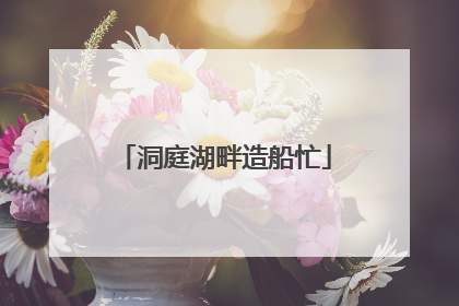 洞庭湖畔造船忙