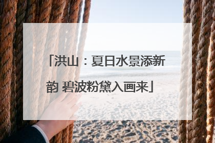 洪山：夏日水景添新韵 碧波粉黛入画来