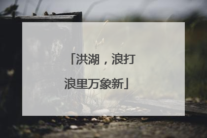洪湖，浪打浪里万象新