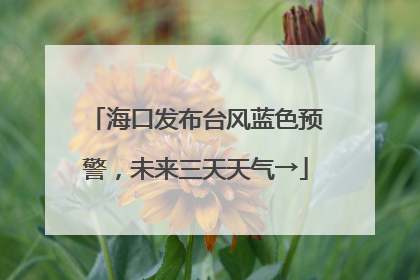 海口发布台风蓝色预警,未来三天天气→