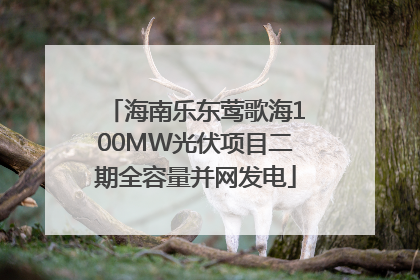 海南乐东莺歌海100MW光伏项目二期全容量并网发电