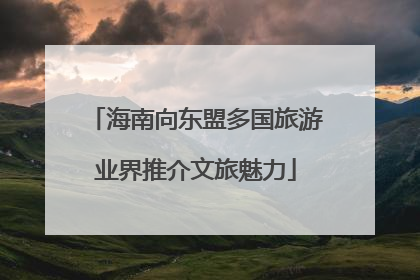 海南向东盟多国旅游业界推介文旅魅力