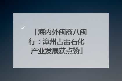 海内外闽商八闽行：漳州古雷石化产业发展获点赞