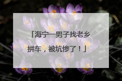 海宁一男子找老乡拼车，被坑惨了！