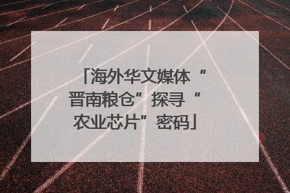 海外华文媒体“晋南粮仓”探寻“农业芯片”密码