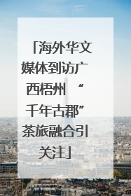 海外华文媒体到访广西梧州 “千年古郡”茶旅融合引关注