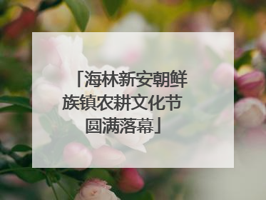 海林新安朝鲜族镇农耕文化节圆满落幕