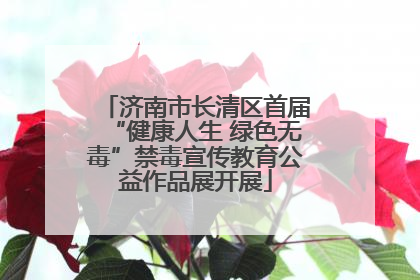 济南市长清区首届“健康人生 绿色无毒”禁毒宣传教育公益作品展开展
