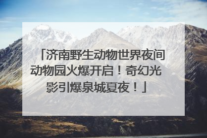 济南野生动物世界夜间动物园火爆开启！奇幻光影引爆泉城夏夜！