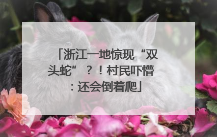 浙江一地惊现“双头蛇”？！村民吓懵：还会倒着爬