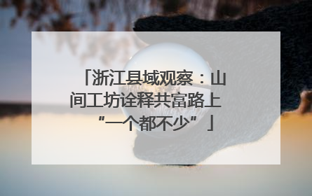 浙江县域观察：山间工坊诠释共富路上“一个都不少”
