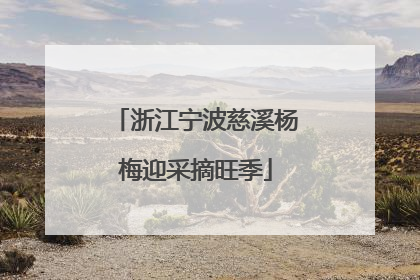 浙江宁波慈溪杨梅迎采摘旺季