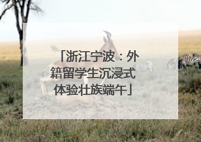 浙江宁波：外籍留学生沉浸式体验壮族端午