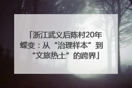 浙江武义后陈村20年蝶变：从“治理样本”到“文旅热土”的跨界