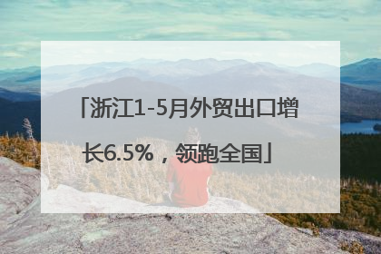 浙江1-5月外贸出口增长6.5%，领跑全国