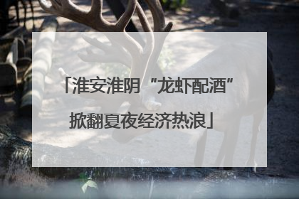 淮安淮阴“龙虾配酒” 掀翻夏夜经济热浪