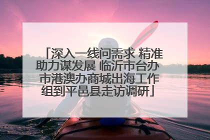 深入一线问需求 精准助力谋发展 临沂市台办 市港澳办商城出海工作组到平邑县走访调研