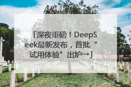 深夜重磅！DeepSeek最新发布，首批“试用体验”出炉→