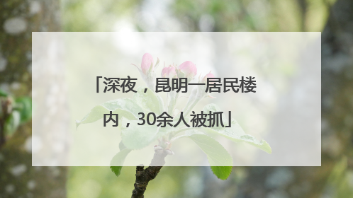 深夜，昆明一居民楼内，30余人被抓