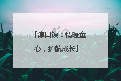 淳口镇：情暖童心，护航成长