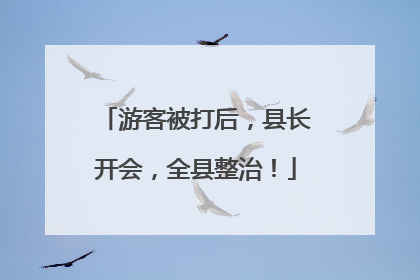 游客被打后，县长开会，全县整治！