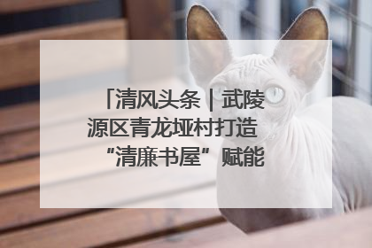 清风头条｜武陵源区青龙垭村打造“清廉书屋”赋能乡村振兴新风尚