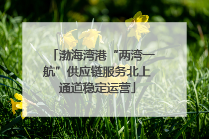 渤海湾港“两湾一航”供应链服务北上通道稳定运营