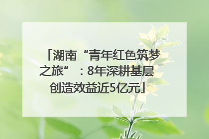 湖南“青年红色筑梦之旅”：8年深耕基层创造效益近5亿元