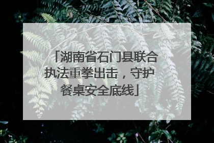 湖南省石门县联合执法重拳出击，守护餐桌安全底线