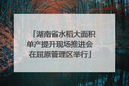 湖南省水稻大面积单产提升现场推进会在屈原管理区举行