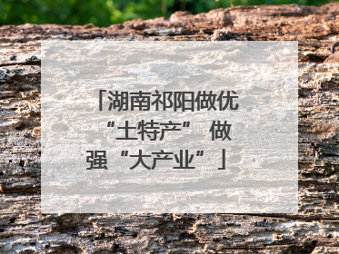 湖南祁阳做优“土特产” 做强“大产业”