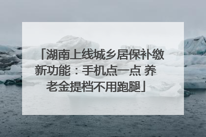 湖南上线城乡居保补缴新功能：手机点一点 养老金提档不用跑腿