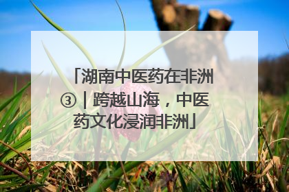 湖南中医药在非洲③｜跨越山海，中医药文化浸润非洲