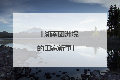 湖南团洲垸的田家新事