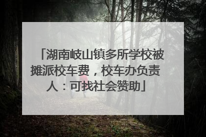 湖南岐山镇多所学校被摊派校车费，校车办负责人：可找社会赞助