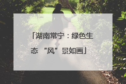 湖南常宁：绿色生态 “风”景如画
