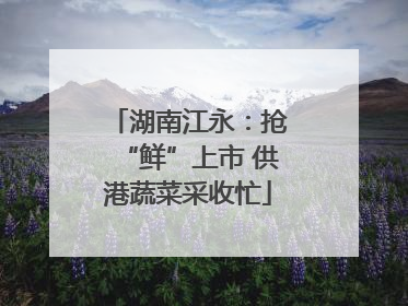 湖南江永：抢“鲜”上市 供港蔬菜采收忙