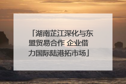 湖南芷江深化与东盟贸易合作 企业借力国际陆港拓市场