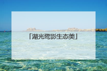 湖光鹭影生态美