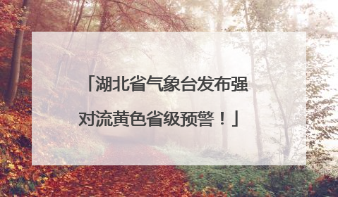 湖北省气象台发布强对流黄色省级预警！