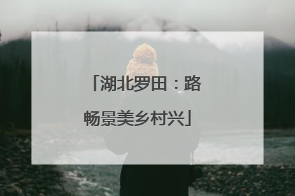 湖北罗田：路畅景美乡村兴