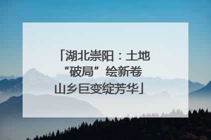 湖北崇阳：土地“破局”绘新卷 山乡巨变绽芳华