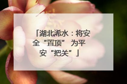湖北浠水：将安全“置顶” 为平安“把关”
