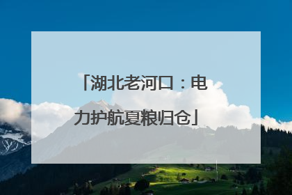 湖北老河口：电力护航夏粮归仓