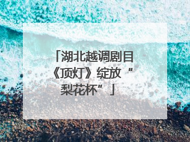 湖北越调剧目《顶灯》绽放“梨花杯”