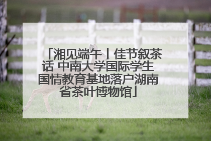 湘见端午丨佳节叙茶话 中南大学国际学生国情教育基地落户湖南省茶叶博物馆