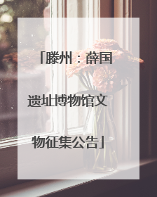 滕州：薛国遗址博物馆文物征集公告