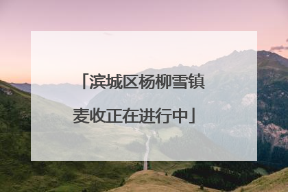滨城区杨柳雪镇麦收正在进行中