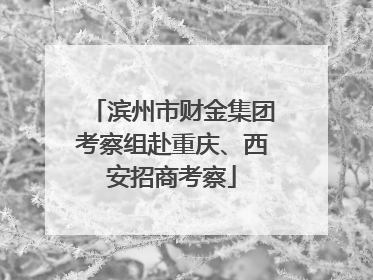 滨州市财金集团考察组赴重庆、西安招商考察